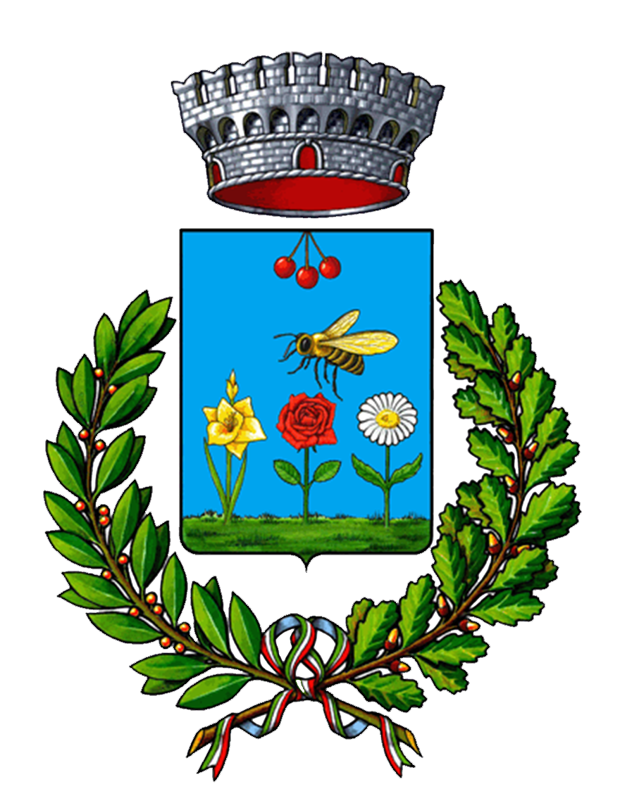 COMUNE DI PULSANO